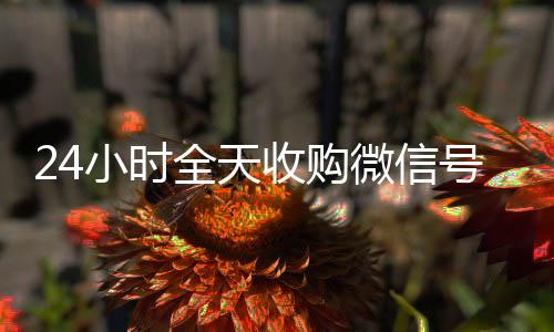 24小时全天收购微在线24小时回收vx信号（出售微信24小时在线回收）