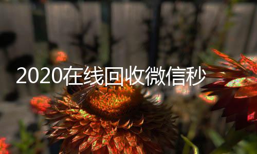2020在线回收高价回收vx秒结平台微信秒结（高价回收微信秒结）